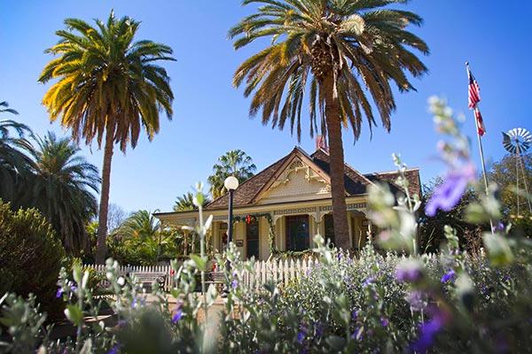 Fullerton Arboretum